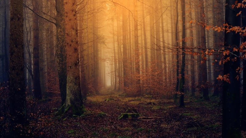 Magical realms